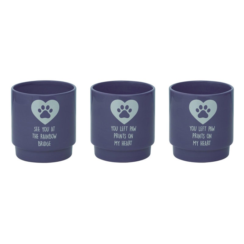  Ensemble de 3 pots de fleurs en céramique pour animaux