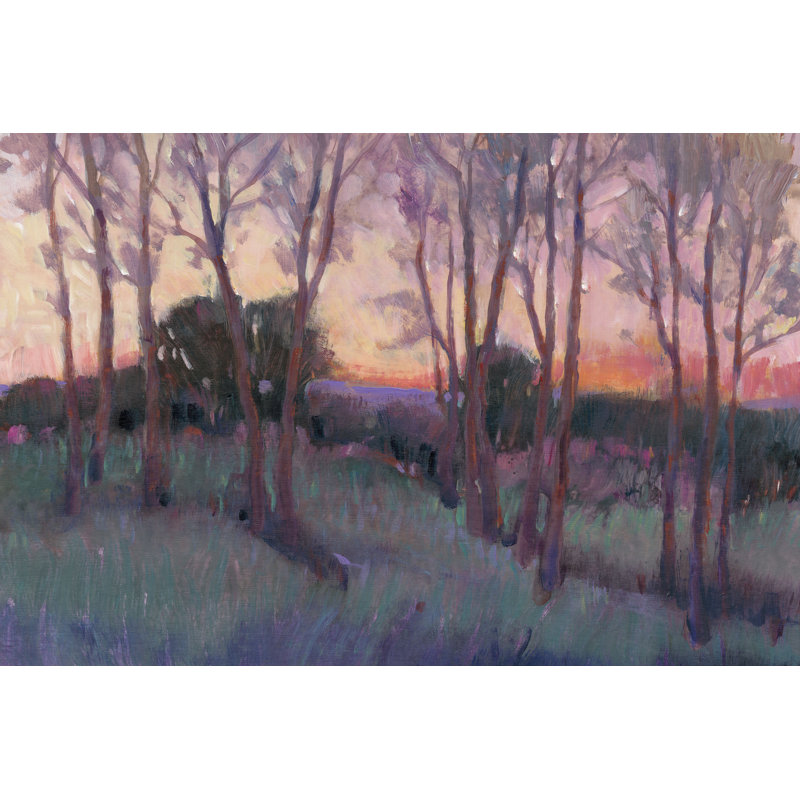 Morning Light II by Tim OToole - Wrapped Canvas Painting, 51cm H x 76cm W