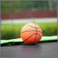 Trampoline vert 12 pi 1223