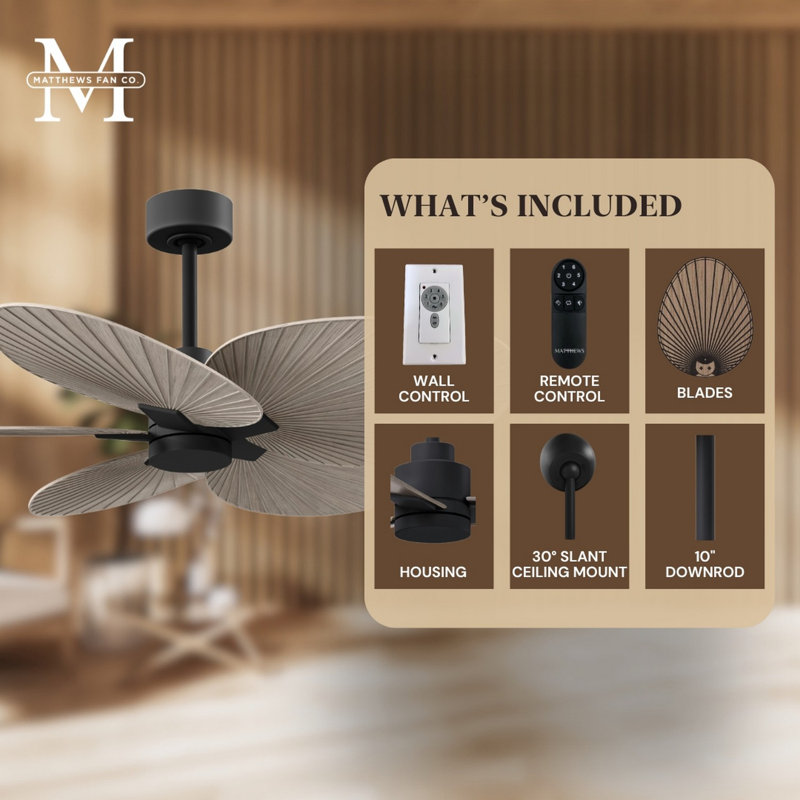 Alessandra Tropical - Five Blade Ceiling Fan - Matte White Finish - Matte White Blades, Matte Black, Gray Ash Tone