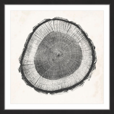 «Tree Ring II», reproduction encadrée