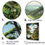 «River Into Enchanted Woods II», reproduction sur toile-870007842-870007849
