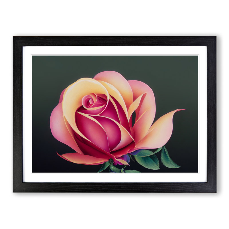 A Sparkling Rose Flower - Single Picture Frame Print, 34cm H x 46cm W, Black