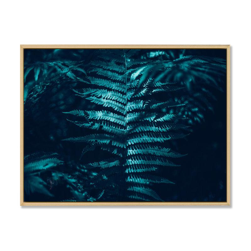 Beautiful Green Green Dark Leaves in Forest - Photographie sur toile, H 34 po x l 44 po x P 1,5 po, Cadre flottant érable