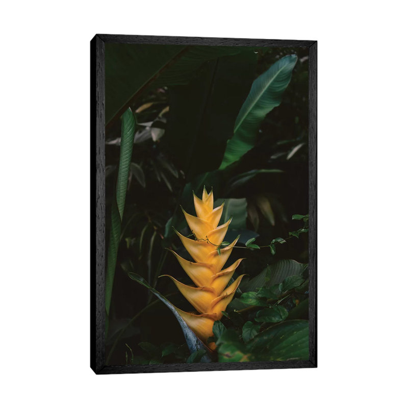 Tropical Hawaii VIII by Bethany Young - Print on Canvas, Black Framed, 152.4cm H x 101.6cm W x 3.81cm D