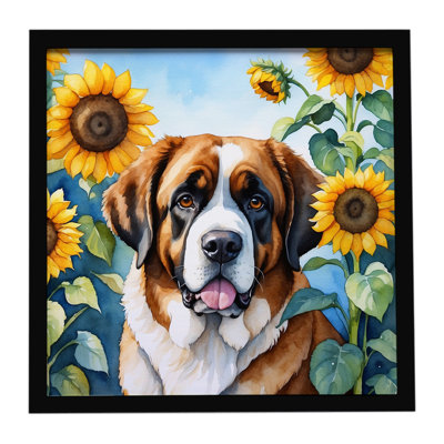 Saint-Bernard aux tournesols, reproduction d'art encadrée