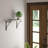 Shelf Brackets-58955824
