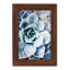 Pastel Succulent Beauty III, encadré sur papier-1798641937-1798641966