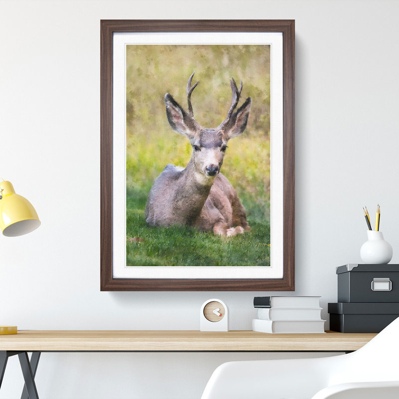A Resting Deer - Picture Frame Painting, 36cm H x 27cm W x 2cm D, Walnut Framed