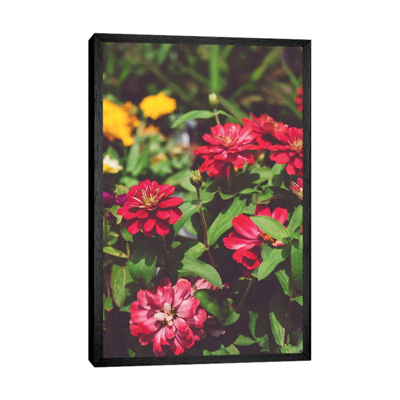 Be Mine by Bethany Young - Print on Canvas, Black Framed, 101.6cm H x 66.04cm W x 3.81cm D