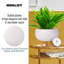 Concrete Effect Bowl Planter on Hardwood Legs, Round Indoor Plant Pot Stand for Indoor Plants, Shallow Planter with Honeycomb Pattern-1232425385-1232425384