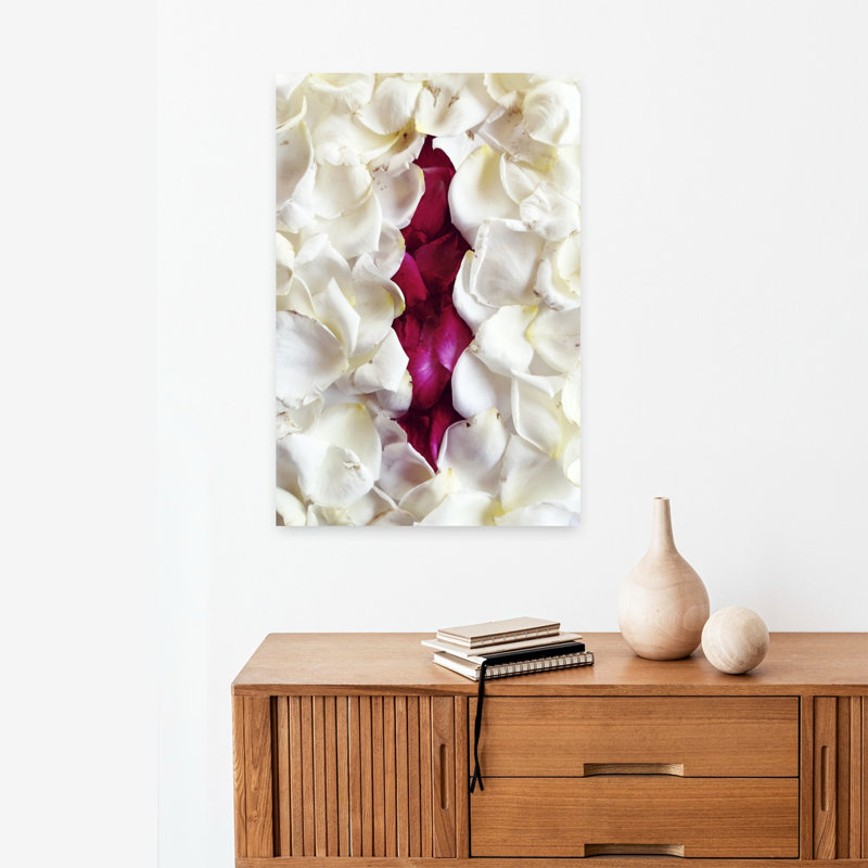 Contemporary Art Modern Romantic Nature Flower Wall Art by Angelo Cerantola - Wrapped Canvas Print, 60.96 cm H x 40.64 cm W
