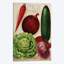 « annual of true blue blue légumes », publicité sur toile-32789808-72128879-72128880
