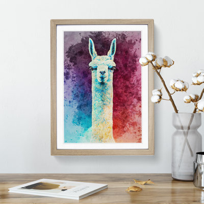 Llama Portrait - Framed Print
