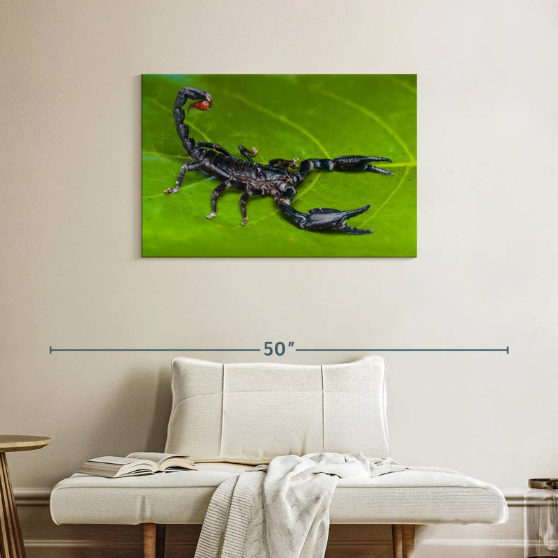 Crowle Forest Scorpion