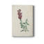 «Traditional Botanical I», impression sur toile tendue-1236080320
