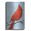 «Cardinal I» par Phyllis Adams-771163611