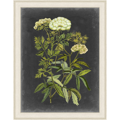 " Bookplate Floral I "