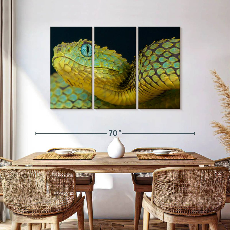 Brampt African Bush Viper, 36" H x 57" W