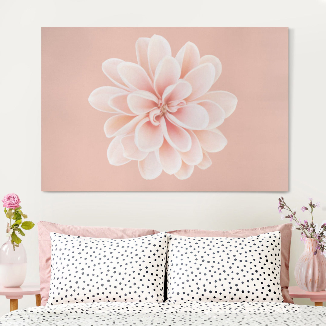 Leinwandbild Dahlia Pink Pastel White Centered