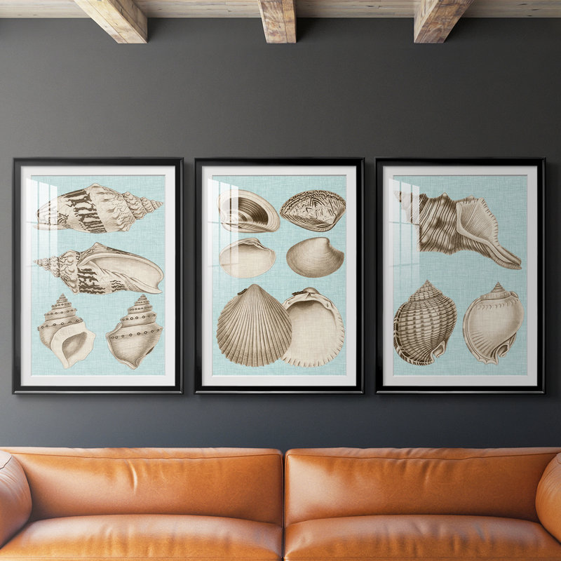 Sépia et aqua coquillages IV - reproduction sur mesure encadrée de qualité supérieure - 3 pièces, Noir, H 19 po x l 27 po