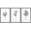 " Black And White Tropical Palm Tree Simple Minimalist Neutral Modern Art Work Room Decor " 3 - Pieces on-98696600-98696601