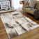Armannai Performance Abstract Indoor Rug
