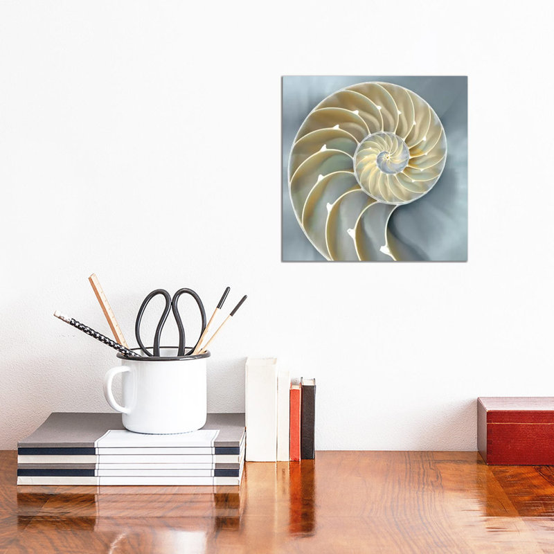 Nautilus In Blue I, 45.72 cm H x 45.72 cm W x 1.91 cm D, Wrapped Canvas