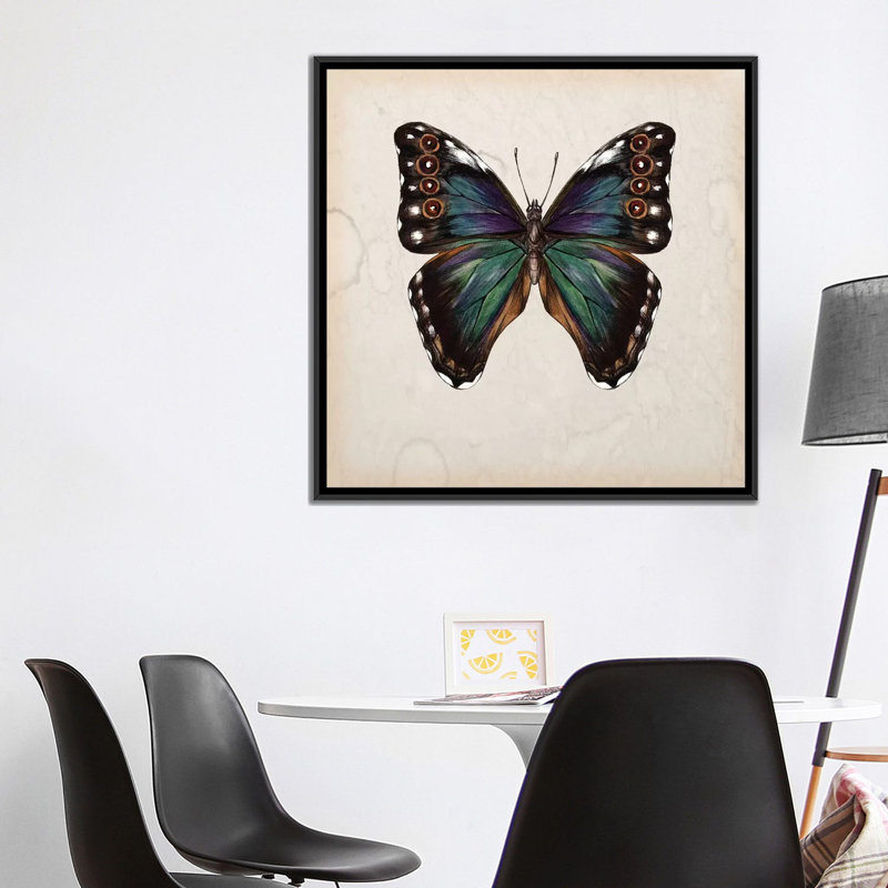 «Butterfly Study III», impression sur toile, H 18 po x l 18 po x P 1,5 po, Toile encadrée noire, Pas de tapis