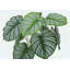 Plante artificielle, 24 po de haut, Calathea, intérieur, faux, faux, table, verdure, pot, touche réelle, décoratif, feuilles vertes, pot-1035965631