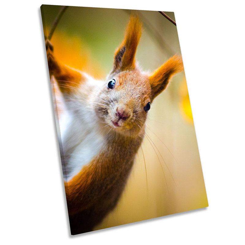 Red Squirrel Tree Print - Wrapped Canvas Art Prints, 45.7cm H x 30.5cm W