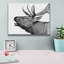 «Deer» par PhotoINC Studio-1011329292