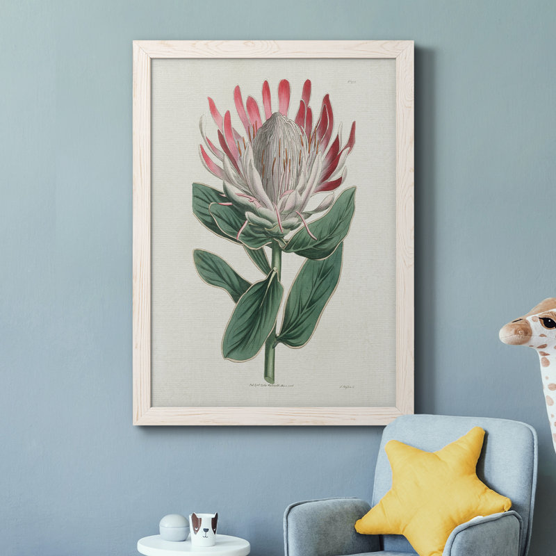 Protea N13 - Peinture sur toile encadrée, H 44 po x l 31 po x P 1 po, Cadre blanc
