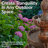 Dunkelberger Flower Blossom Traditional Resin 3-Tier Outdoor Water Fountain - Brown-1539092775