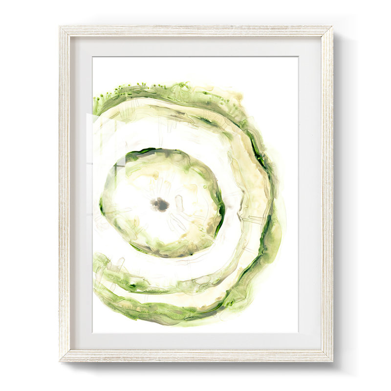 Lichen Halo III - impression encadrée, H 28,5 po x l 20,5 po, Blanc
