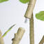 Figuier artificiel 7 pi 7 pi, fausse plante réaliste en pot noir, 1pc / ensemble