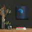 Ivy Bronx «Earth as Art: Scorpion Reef», art mural en métal-1445661063