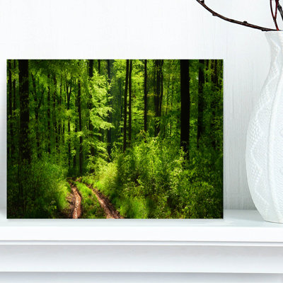 Fascinating Greenery in Wild Forest Photographic Print on Wrapped Canvas