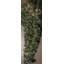 Ensemble de 380 guirlandes lumineuses-51406529