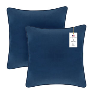 A1HC Set of 2 Luxurious Velvet Throw Pillow Covers — Soft Decorative Cushions with Hidden Zipper (Set of 2)