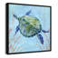 Collection Se3a Turtle Sea Turtle II par Carol Robinson-93233733-93233734