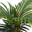 150cm Plant