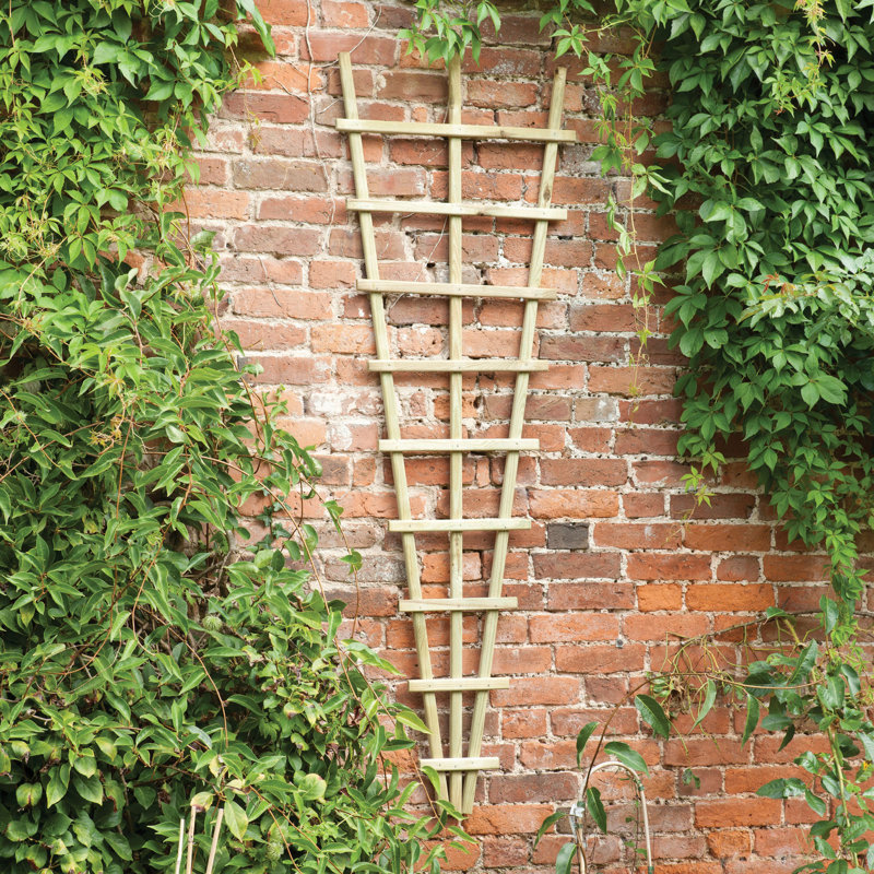 180cm H x 60cm W Wood Fan Trellis