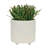 S/2 6/8" Textured Planters-1505069940