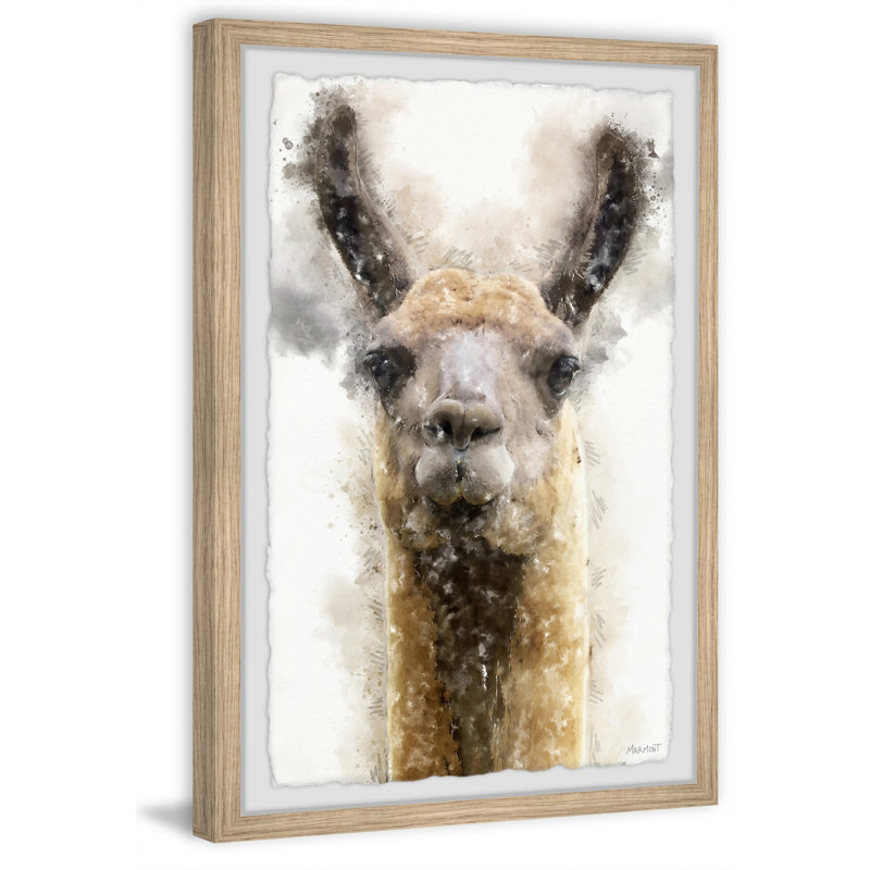 Grumpy Llama 1 Piece Single Picture Frame Painting, 91cm H x 61cm W
