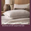 Sleepeezee Hotel Luxe Pillow Pair