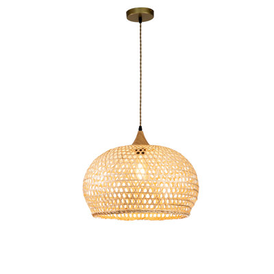 Luminaire suspendu 20 pouces 1 lumière Airy