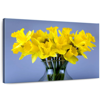Harnek All Yellow Daffodils
