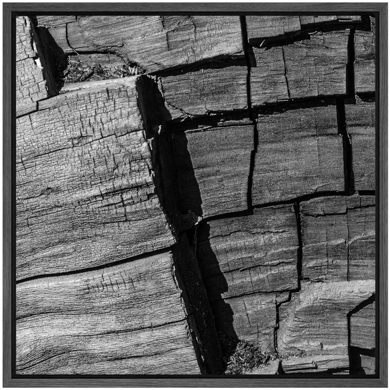 «Vintage Drift Wood Grain Tree Bark Nature Plants», photographie, rustique, gros plan, noir et blanc foncé, impression sur toile