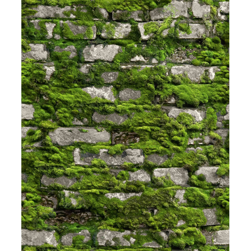 Bricks and More Collection Mossy Stone Wall Wallpaper Roll
